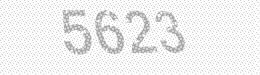 Visual security code — type the characters shown in the image